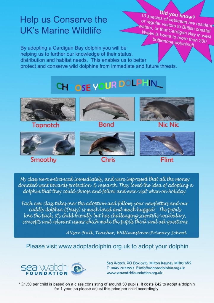 Adopt-a-dolphin