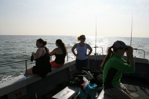 Our volunteers on last years Sea Changers project.