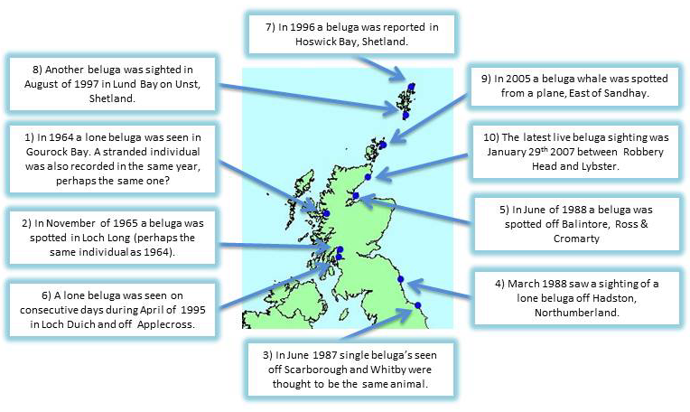 Figure 1: A map to show beluga sightings in the UK over the past fifty years.