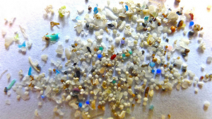 5-gyres-lots-of-microbeads