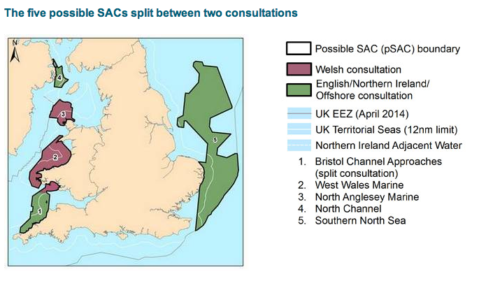 Map of Possible Porpoise SACs