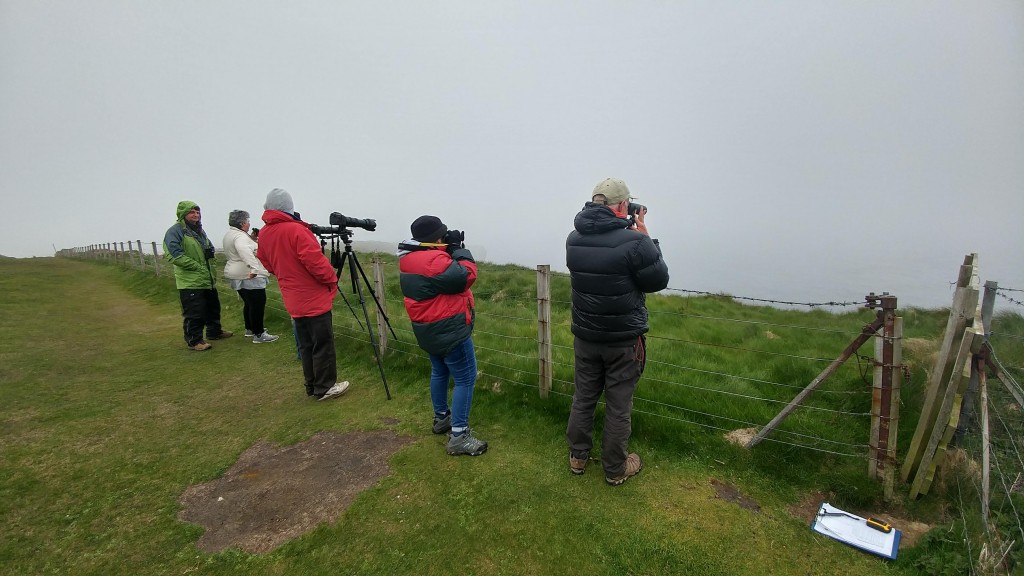 Keen watchers at Duncansby Head. Photo credits: Chloe Robinson/ Sea Watch Foundation 