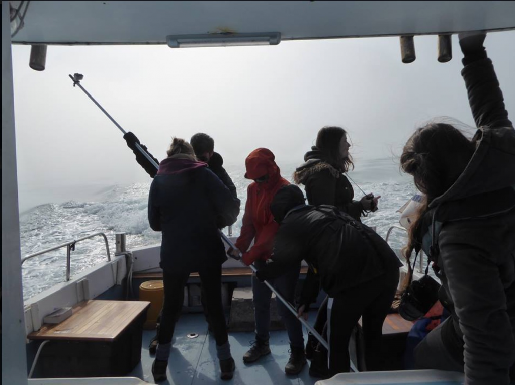 At Seawatch we go out on line transects and tourist boats to collect data on the local cetaceans around West Wales. This is us on a recent survey where we saw a pod of 15 dolphins which were recognised by our monitoring officer as a group from previous years. Picture curtsey of Katrin Lohrengal.