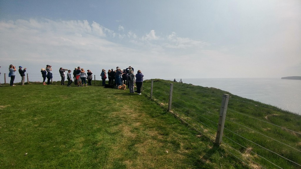 Orca Watch 2018. Orca Watchers looking our for whales and dolphins from Duncansby Head, Scotland. Photo credit: Chloe Robinson. 