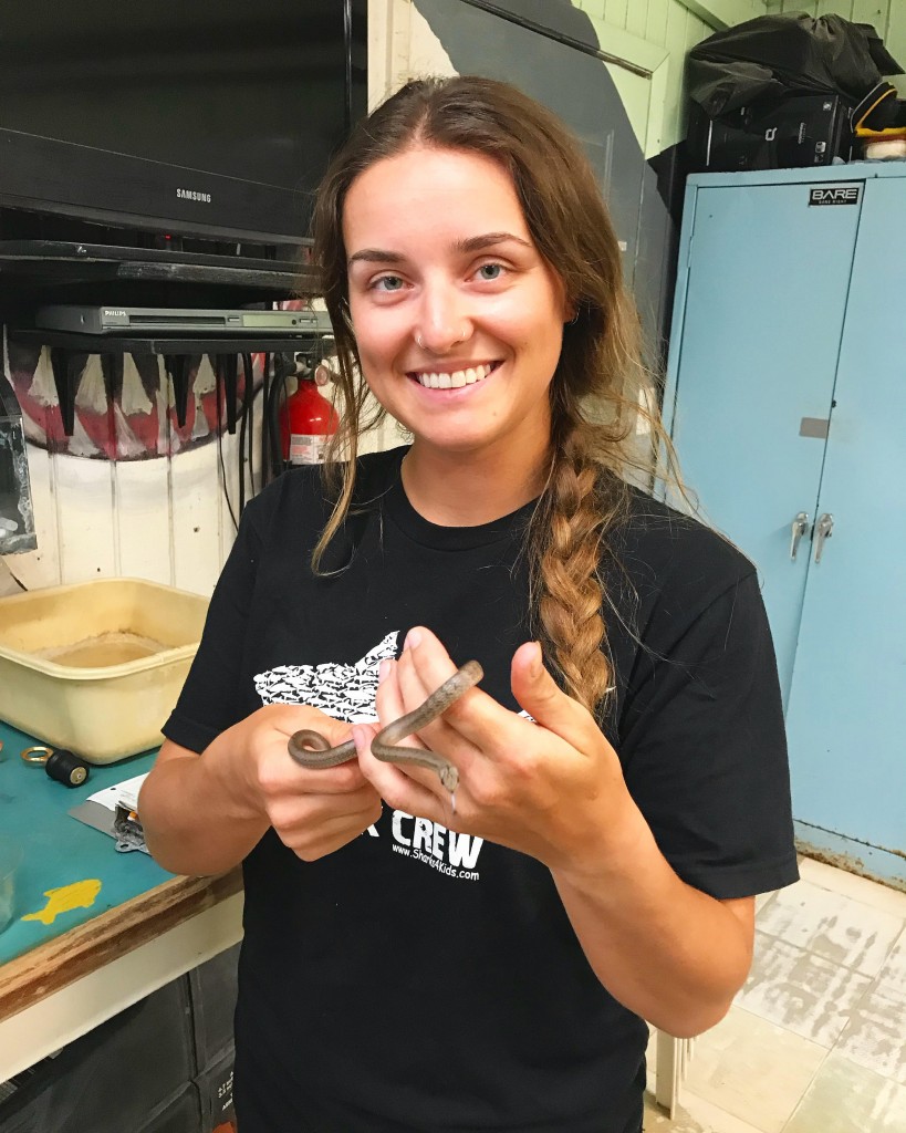 Sea Watch's 2019 Education and Outreach Assistant