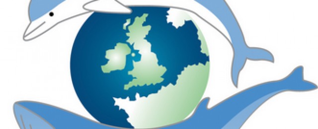 Sea Watch Foundation animal logo