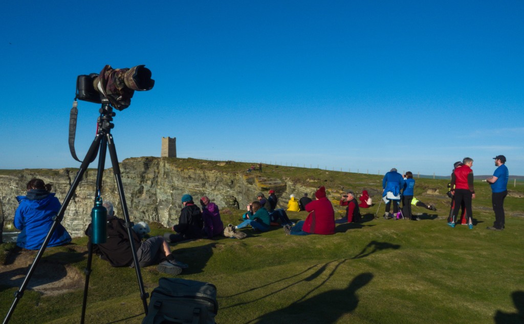 Orca watchers conducting a watch at Marwick Head. Copyright: Gary Eisenhauer