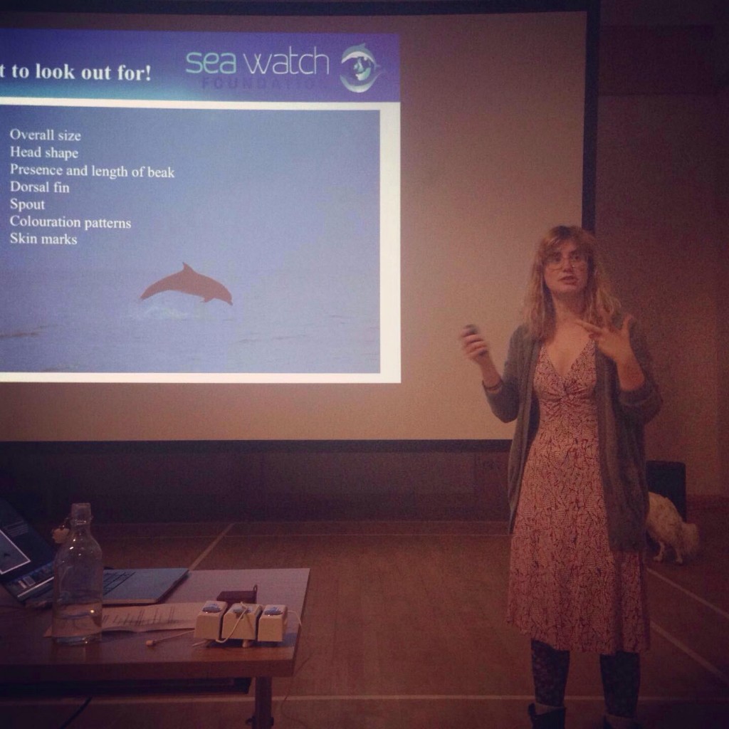 Sightings Officer and Orca Watch organizer Chiara Bertulli talking about recording forms and sea watch data protocols. 