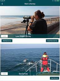 Sea Watch Foundation » Sea Watcher App