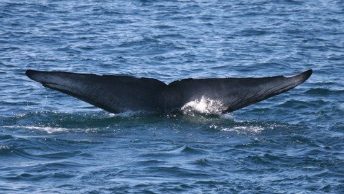 image bw_pghevans5868-jpg