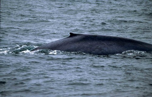 image bw_twalmsley-jpg