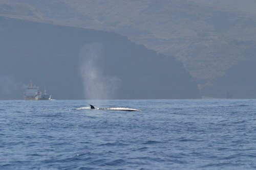 image brw_bbrederlau2-jpg