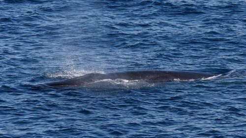 image brw_pghevans7851a-jpg