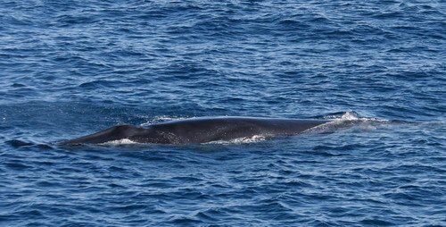 image brw_pghevans7852a-jpg