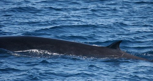 image brw_pghevans7862a-jpg