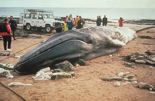 image fw_cspurrier-jpg