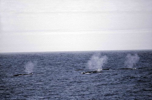 image fw_fugarte1-jpg