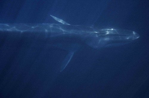 image fw_jbompar1-jpg