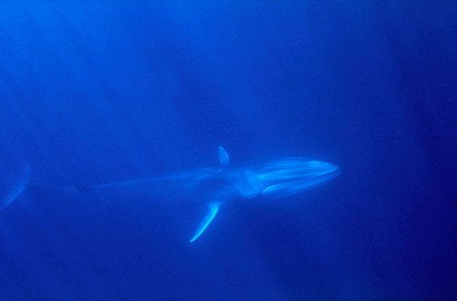 image fw_jbompar3b-jpg