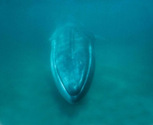 image fw_jbompar6-jpg