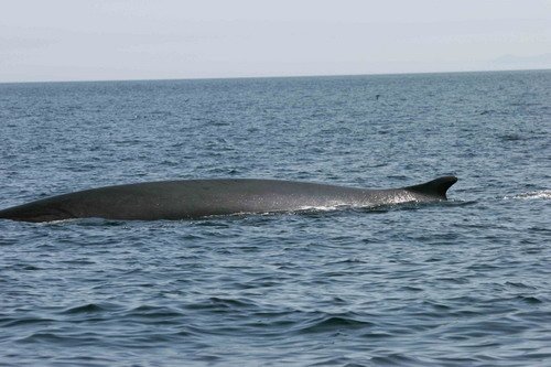 image fw_pghevans14-jpg