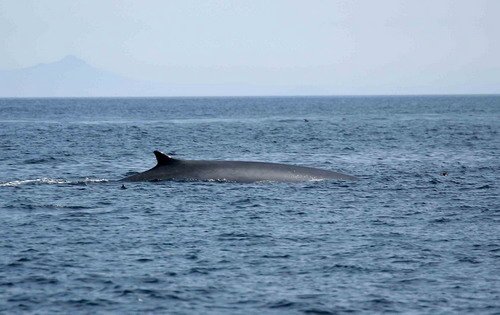 image fw_pghevans18-jpg