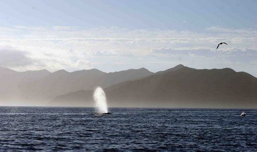 image gw_pghevans7992a-jpg