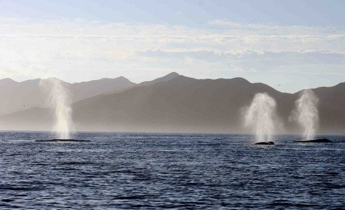 image gw_pghevans7993b-jpg