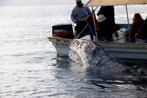 image gw_pghevans8114-jpg