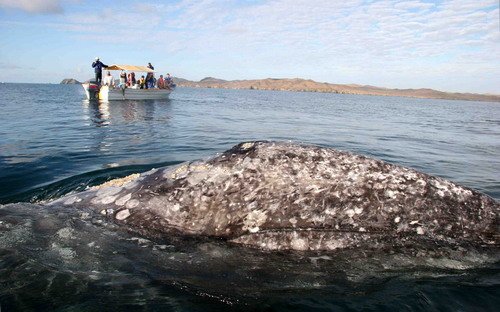 image gw_pghevans8123-jpg