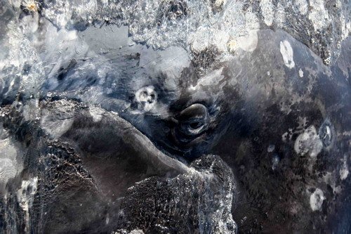 image gw_pghevans8241a-jpg