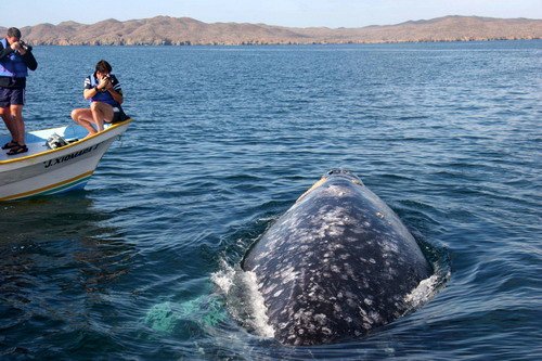 image gw_pghevans8265b-jpg