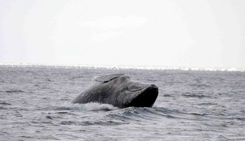 image gw_pghevans8481-jpg