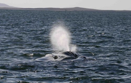 image gw_pghevans8617-jpg