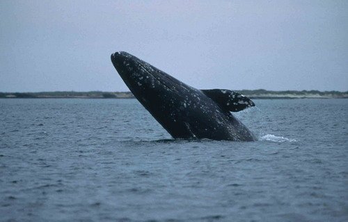 image gw_twalmsley11-jpg