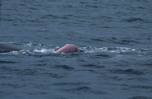 image gw_twalmsley16-jpg