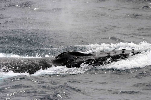 HW PGHEVANS12 image hw_pghevans12-jpg