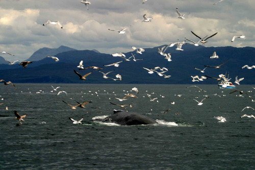 HW PGHEVANS2 image hw_pghevans2-jpg