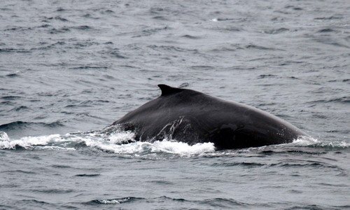 HW PGHEVANS 7511 image hw_pghevans_7511-jpg