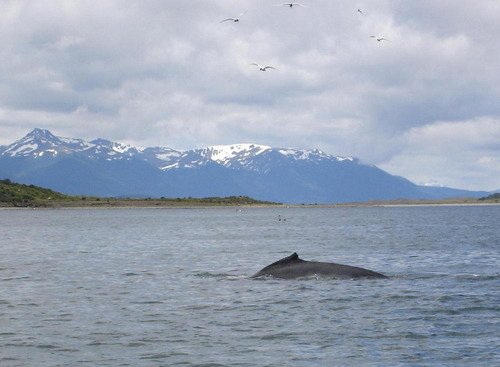 HW TRobinson1a image hw_trobinson1a-jpg