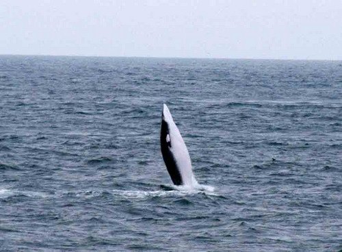 image mw_jbatchelder-jpg