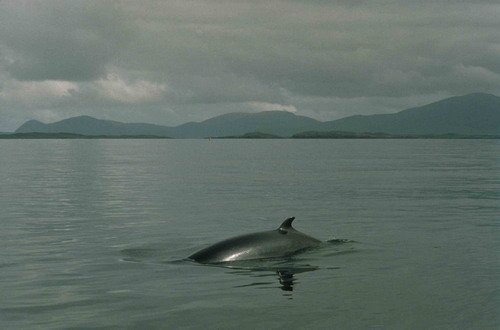 image mw_pghevans21-jpg