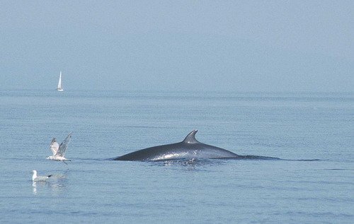 image mw_pghevans46-jpg