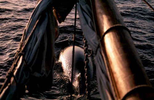 image mw_pghevans64-jpg