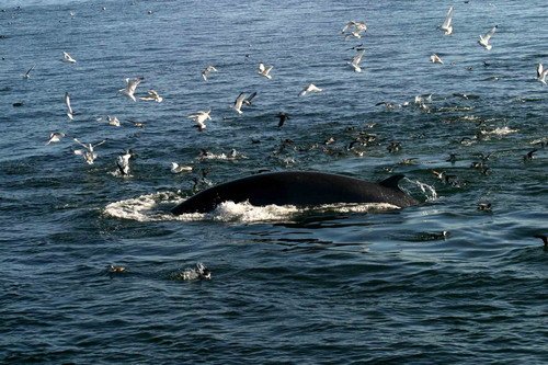 image mw_pghevans86-jpg