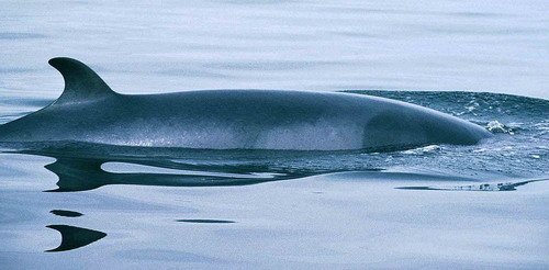 image mw_rhoelzel-jpg