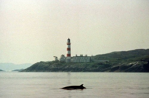 image mw_tleyssen-jpg