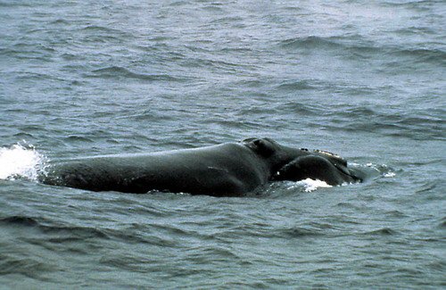 NRW JDRACHMANN3b image nrw_jdrachmann3b-jpg