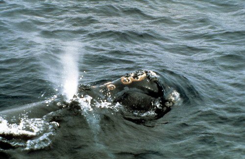 image nrw_jdrachmann1-jpg