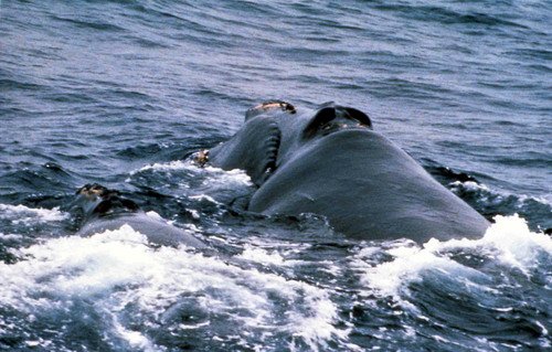 image nrw_jdrachmann2b-jpg